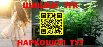 МДПВ Дубна